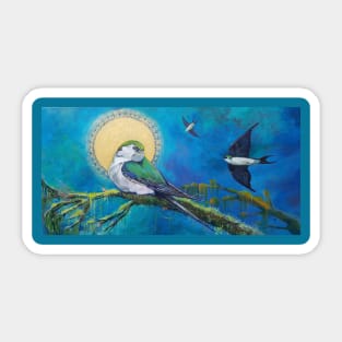 tree swallows and the golden sun Sticker